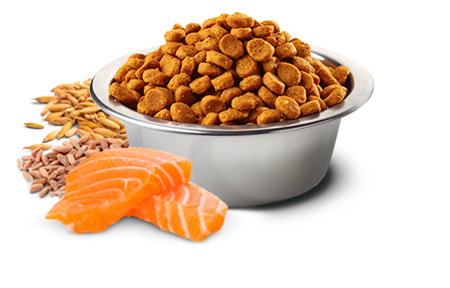 Farmina N&D Tropical Selection Adult Mini Salmone 1,5kg Crocchette Cane Farmina N&D Tropical Selection Adult Mini Salmone 1,5kg Crocchette Cane
